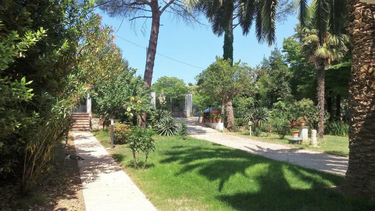 Affittacamere Tory Sirolo Exterior foto